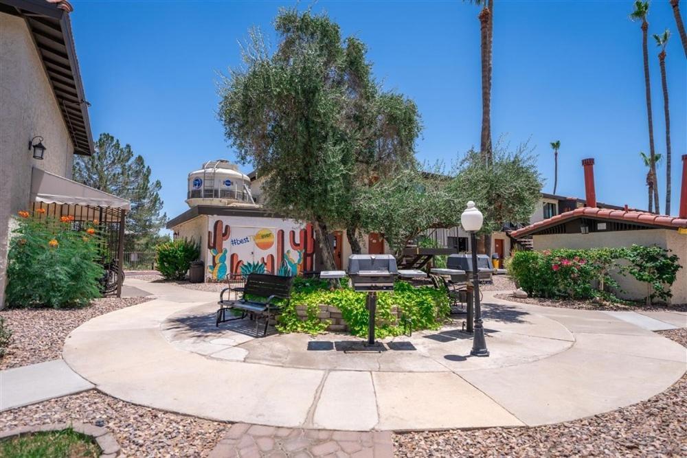 113-fully Furnished 1br Suite-prime Location Apartment