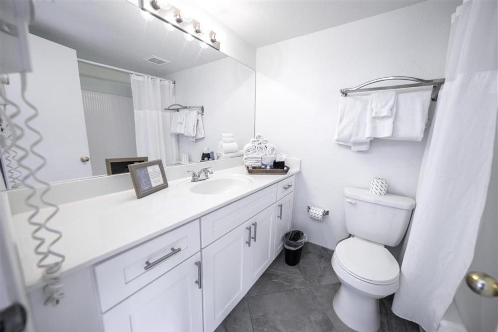 113-fully Furnished 1br Suite-prime Location *